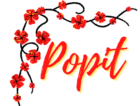 Popit-Ireland-Logo