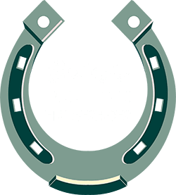 biddysgoodluckhorseshoe logo