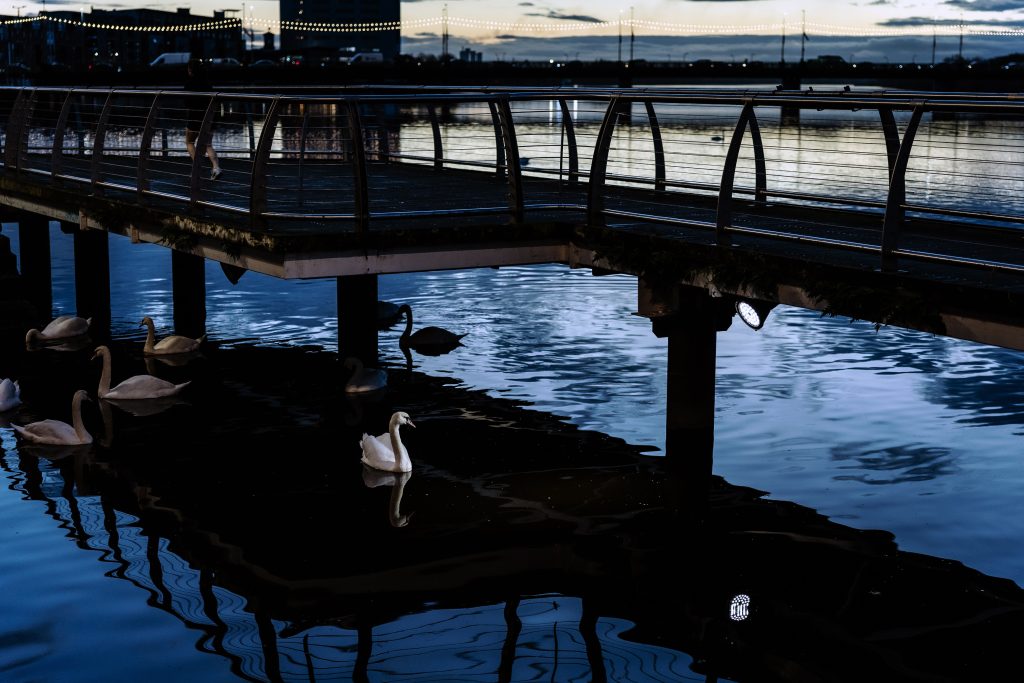 Managed Hosting & Maintenance: What’s the Difference and Why It Matters